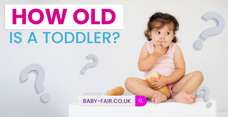 How Old Is a Toddler?